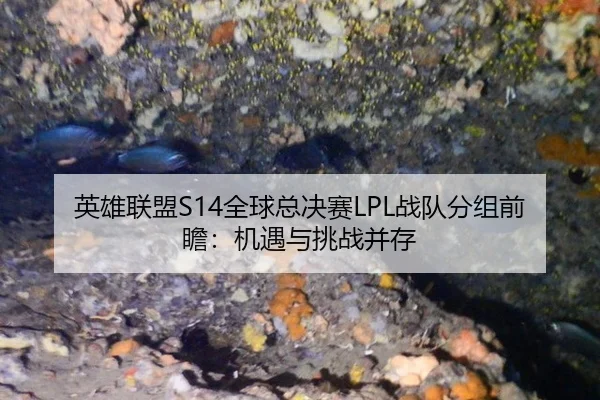 英雄联盟S14全球总决赛LPL战队分组前瞻：机遇与挑战并存